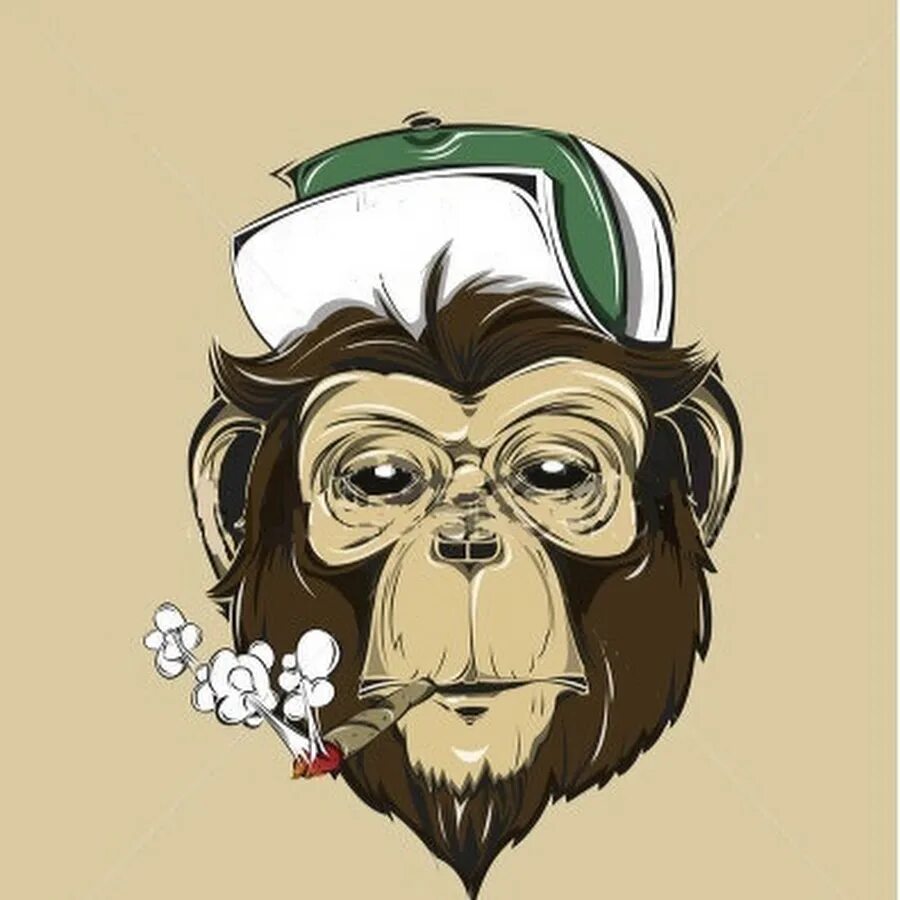 Stoned monkey