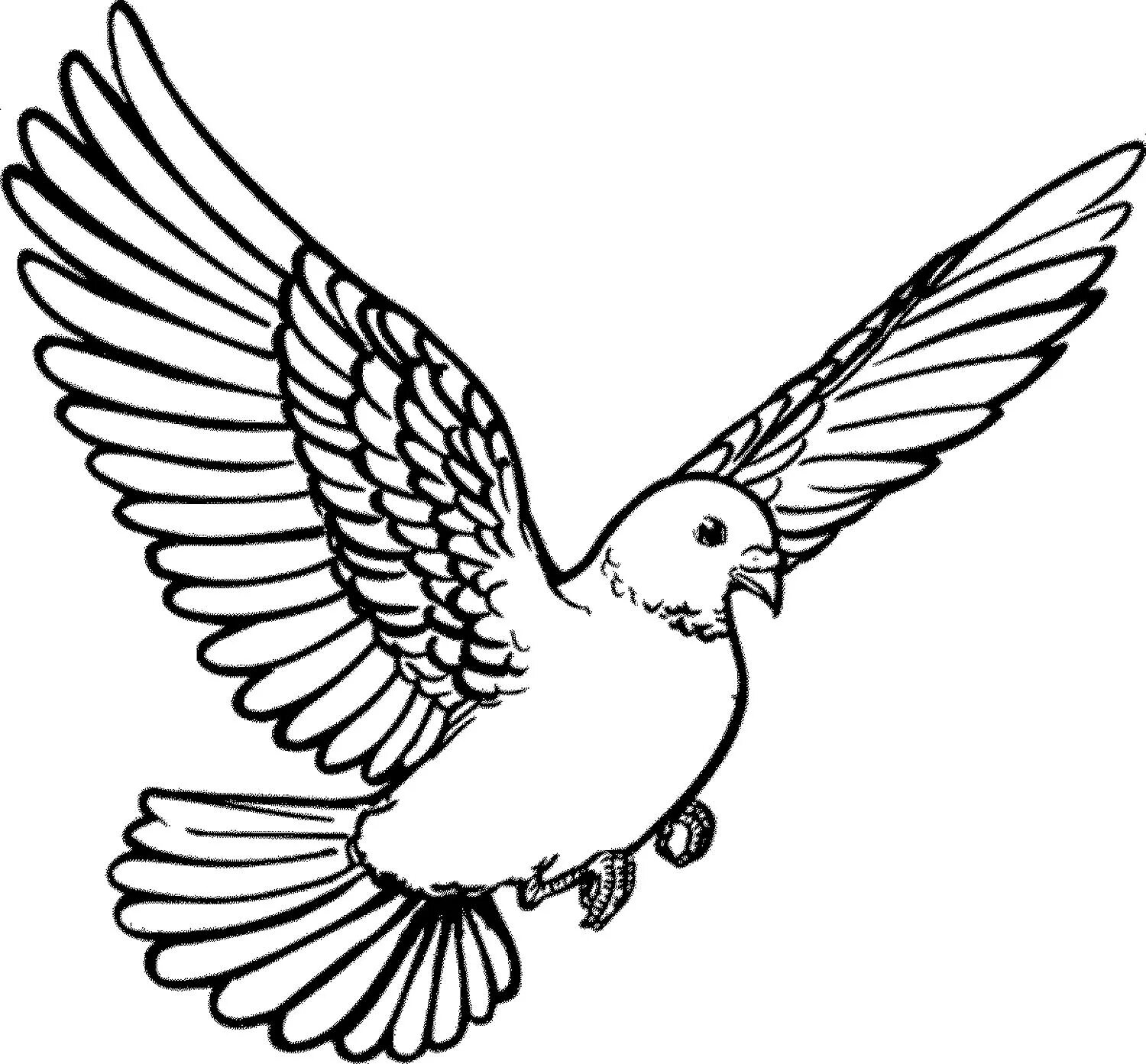 Изображение голубя. Голубь для детей распечатать. Белый голубь символ мира. Голубь раскраска. Голубь раскраска.