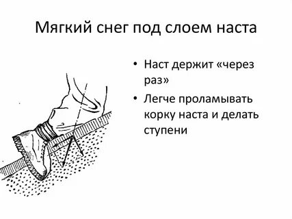Основа наста
