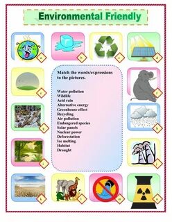 Friendly to the environment перевод