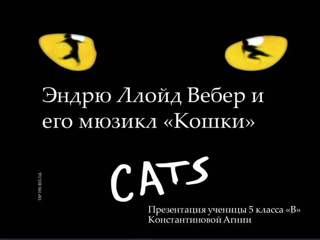 Кошки эндрю ллойда. Афиша к мюзиклу кошки. Мюзикл Cats афиша. Мюзикл кошки. Плакат к мюзиклу кошки.