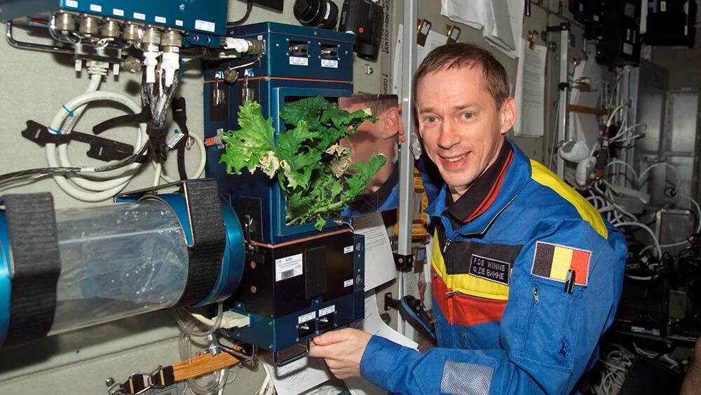 подготовка к космосу. инженер космонавтики. инженер в космосе. инженер космонавтики. астронавт наса дрю морган, работающий с biofabrication facility на мкс.