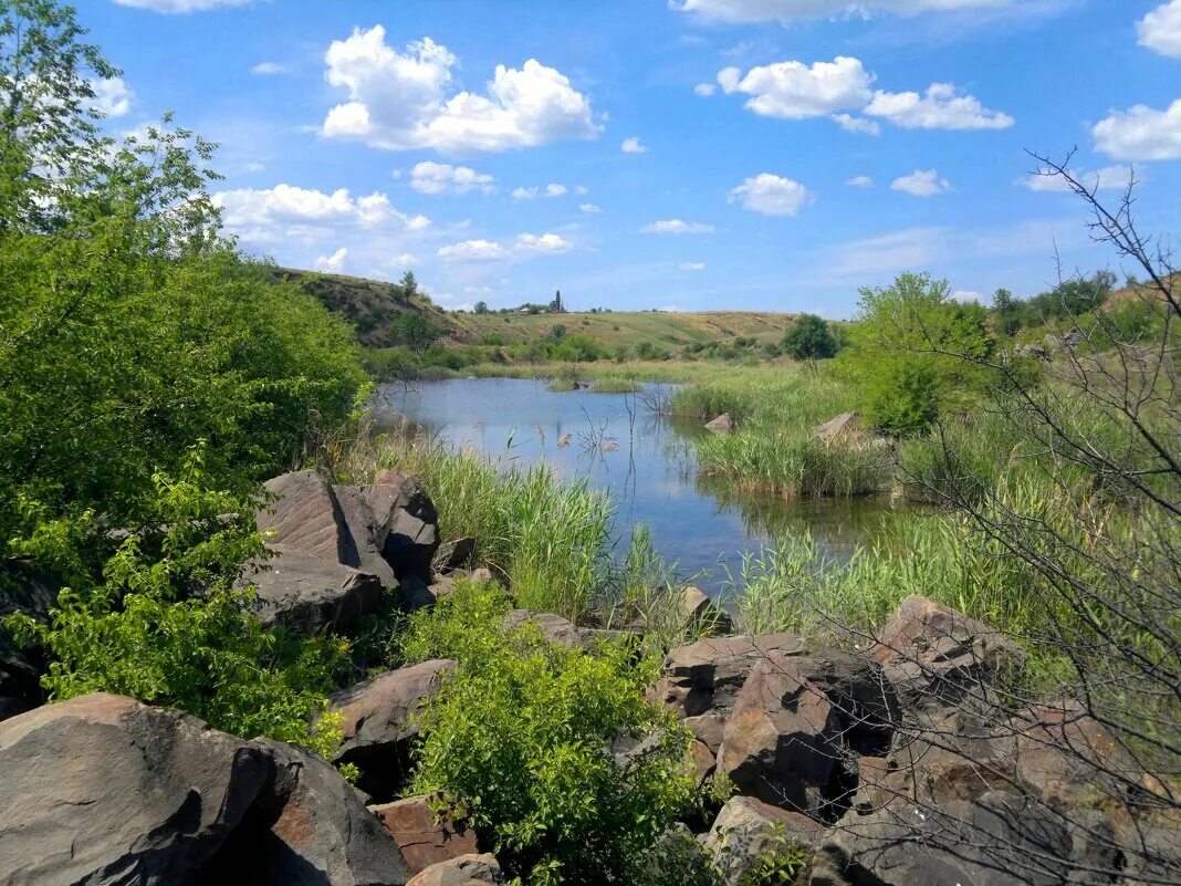 турбаза в новошахтинске у реки. база у реки новошахтинск. реки новошахтинск. ругаевские пруды новошахтинск. река малый несветай.