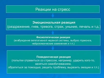 Субъективные реакции человека переживания отражающие отношение