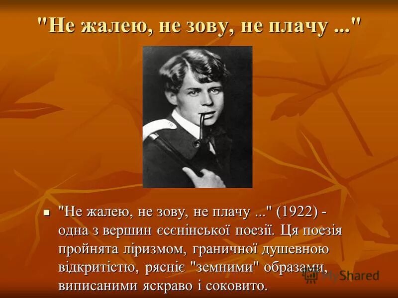 Анализ стиха не жалею не зову. Не жалею. Не о чем не жалею. Не жалею, не зову, не плачу. Картинка ни о чем не жалею.