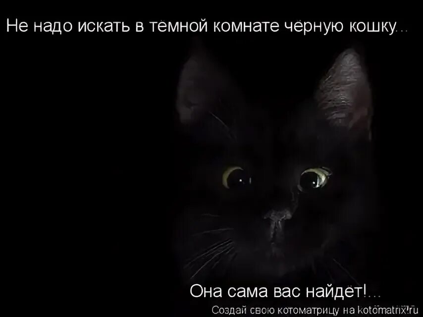 Найти черную кошку в темной комнате. Искать кошку в темной комнате. не надо искать черную кошку в темной комнате.