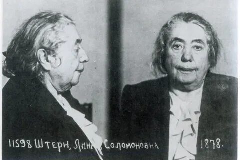 Дело антифашистского комитета