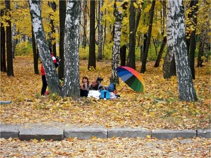 Мишкина осень