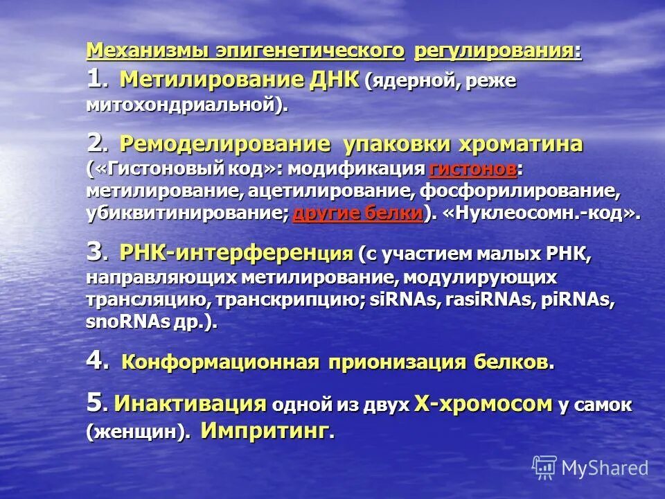 Биохимические механизмы апоптоза. Хеморецепторный механизм регуляции ад. Супрахиазматическое ядро гипоталамуса. Механизмы регуляции функций. Нейро-гуморальный механизм регуляции артериального давления.