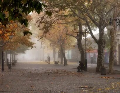 Утро осень город