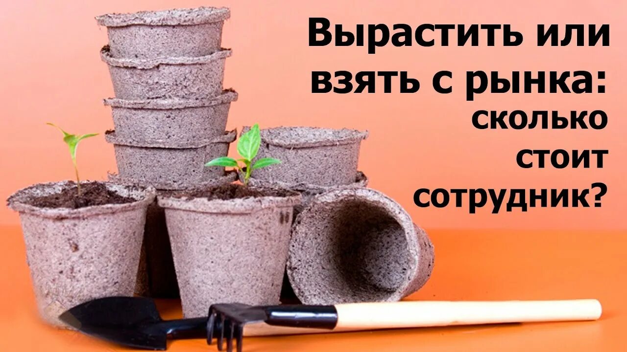 Выростить или вырастить. Вырастишь или вырастешь. Вырастить сотрудника. Вырастила или выростила.