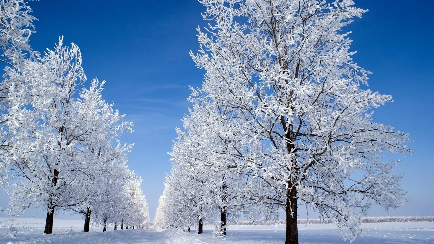 Покажи зимнюю картинку. Зима. Зима пейзаж. Снежный пейзаж. Красивые зимние обои.