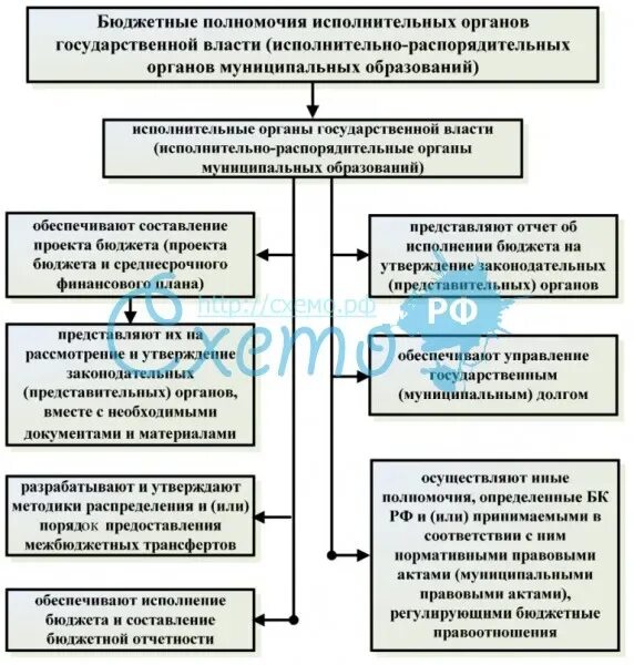 Документ подтверждающий полномочия исполнительного органа. Бюджетные полномочия исполнительных органов. Бюджетные полномочия исполнительных органов государственной власти. Полномочия органов таблица. Бюджетные полномочия органов государственной власти РФ.