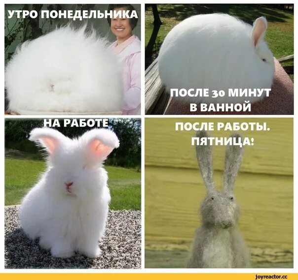 До работы после работы рисунок. Пришла с работы. Устала картинки. Девушка устала. Я иду на работу.