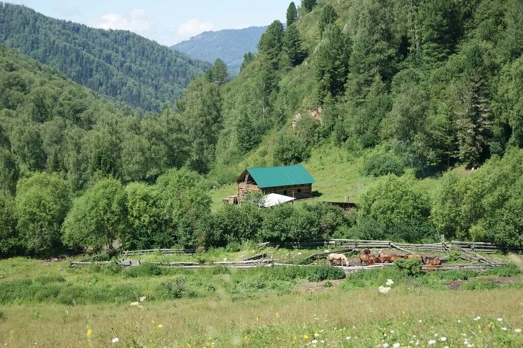 Село элекмонар республика алтай чемальский