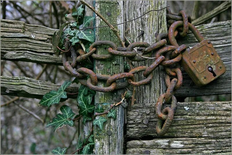 мужчина за дверью. запертый и забытый. запертый и забытый. закрытая дверь. за закрытой дверью.