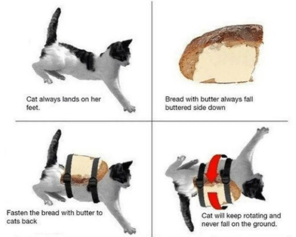 Кот бутерброд. Кот и бутерброд вечный двигатель. Кот и хлеб с маслом. Кошка и бутерброд с маслом. Сливочное масло коту