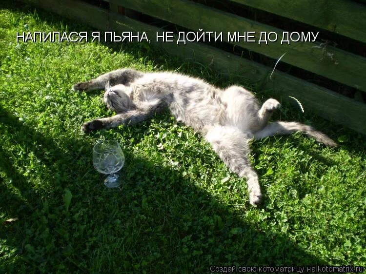 напилася я пьяна не дойду. я вообще не пью. я пьяный. буду поздно пьяная и счастливая. статусы про нервы.