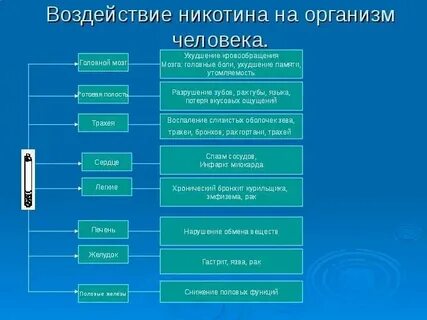 Какое влияние оказал на вашу жизнь