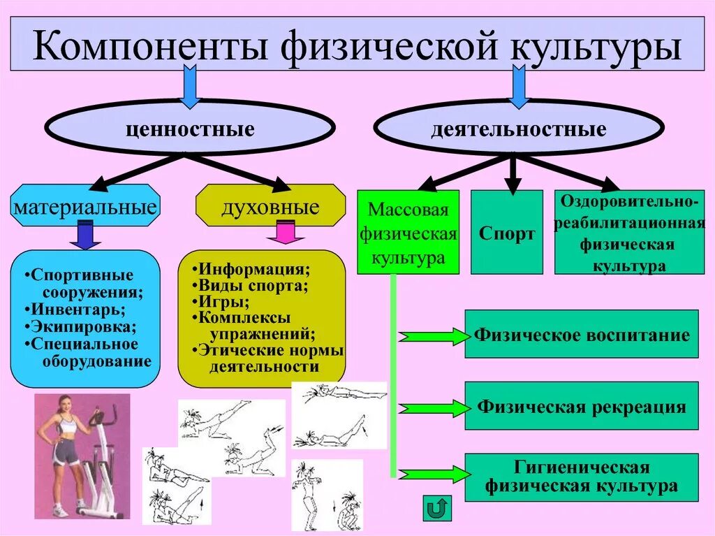 Компоненты физической культуры. Основные компоненты физической культуры. Элементы физического воспитания. Структурные элементы физической культуры.