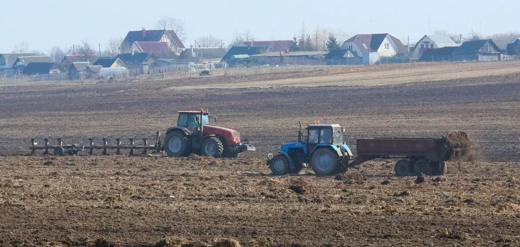 Колхозы в белоруссии. Белорусский колхоз. Многоотраслевое сельское хозяйство белоруссии. Колхозы в белоруссии. Колхозы в белоруссии.