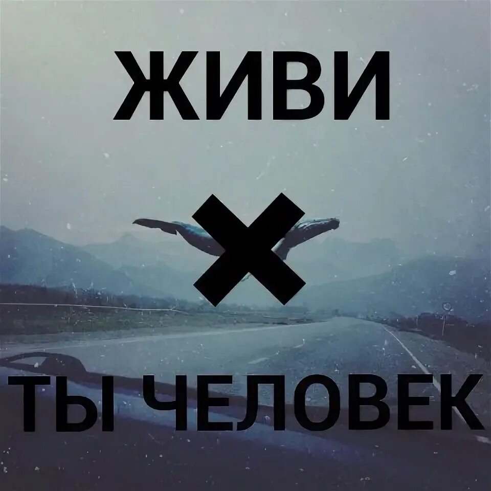 Вк жили были. АНТИКИТ.