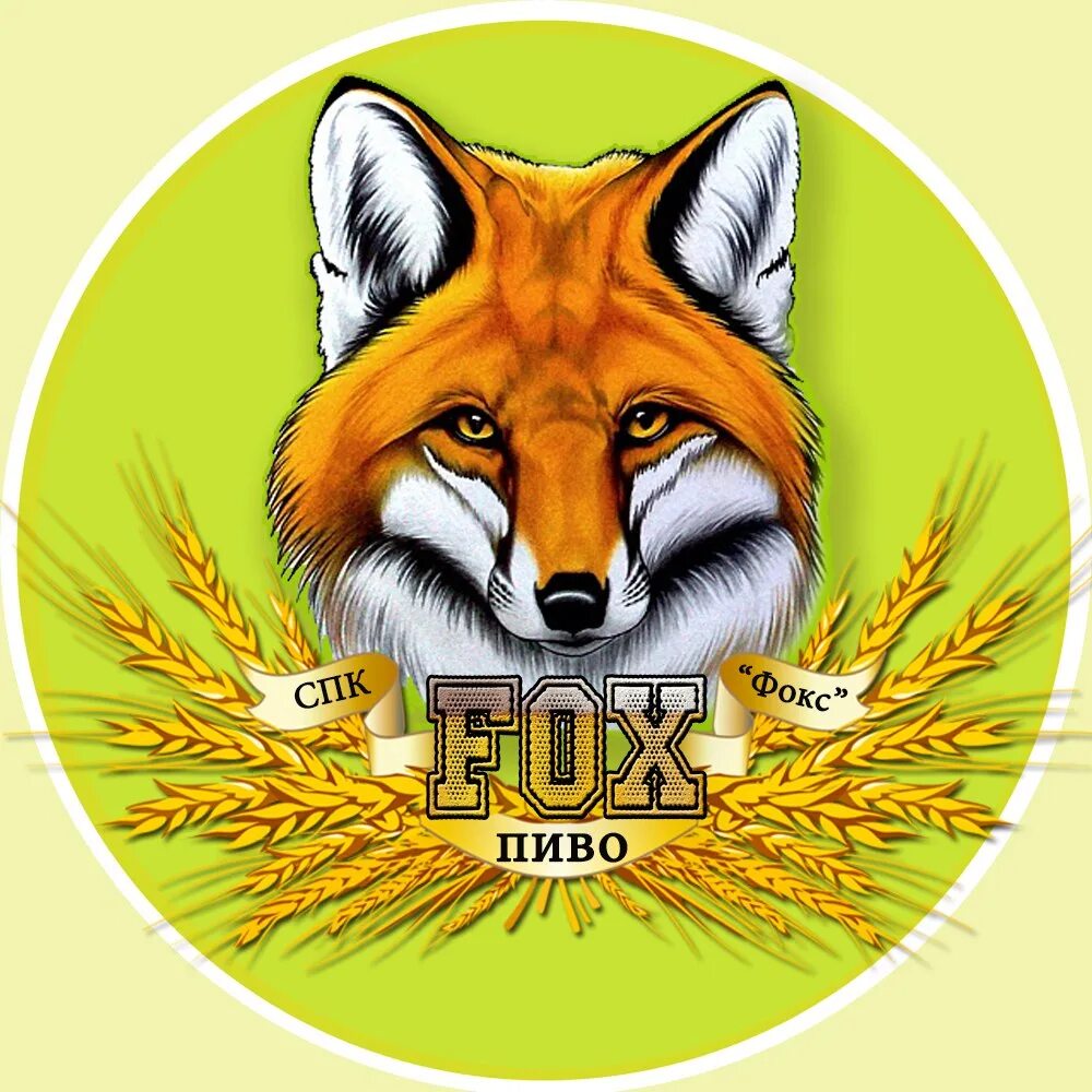 Фирма Фокс фото. Футболки фирмы Fox. Fox Company чем занимается. Fox компания