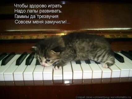 Совсем со мной