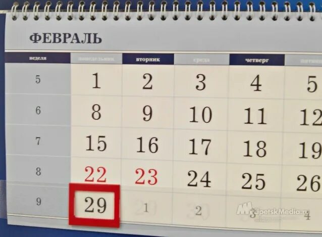 25 января 29 февраля. 29 Февраля. 29 Февраля календарь. 29 Февраля 2013. День рождения 29 февраля.