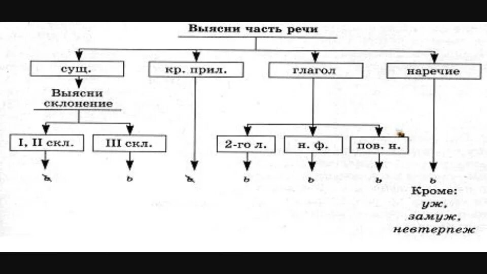 6 ь после шипящих