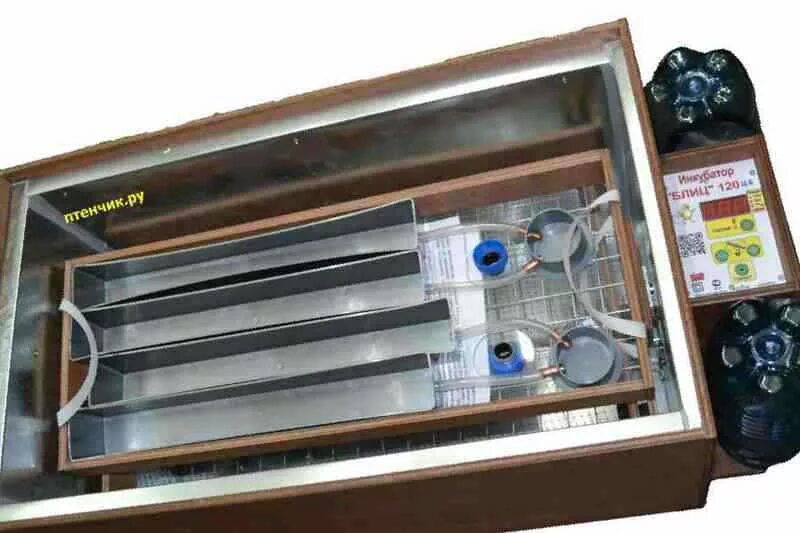 инкубатор блиц на 120 яиц. инкубатор блиц 120ц10. инкубатор блиц 120 цифровой ц10. 120 ц. инкубатор «блиц» 72 цифровой.