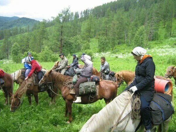 Погода в бийка. Бийка Республика Алтай. Деревня Бийка горный Алтай. Село Бийка Турочакского района Республики Алтай. Горный Алтай урочище бийке.