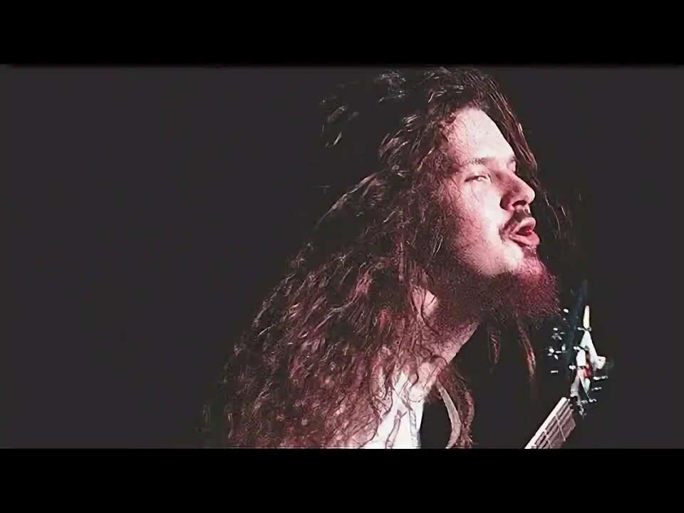 Даймбэг даррелл молодой. Pantera даймбэг даррелл. Dimebag. Dimebag. Pantera гитарист.