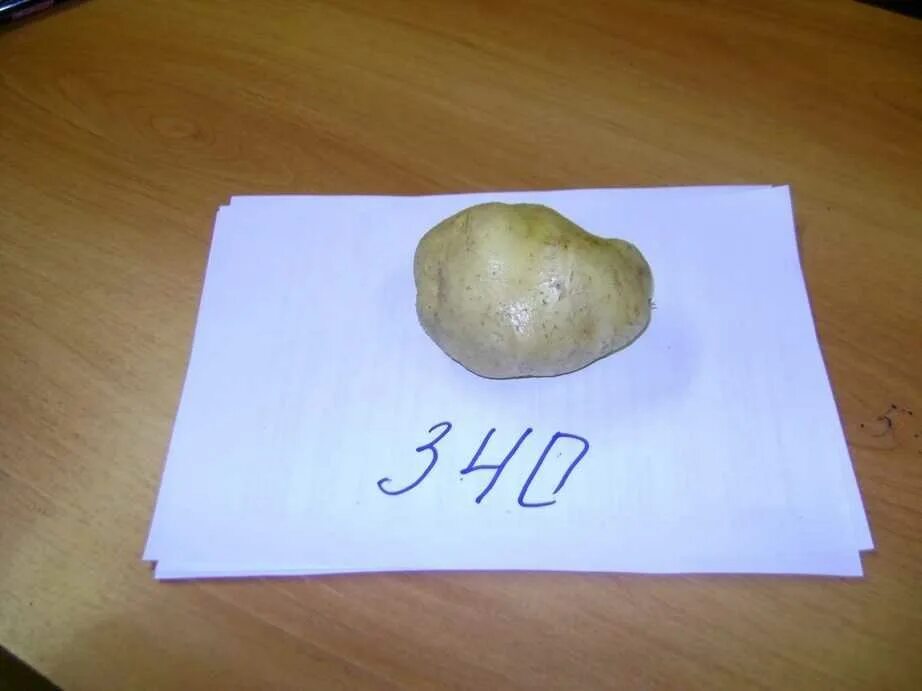 Вес 1 картофеля. 100 Г картофеля. 100 Грамм картошки. Картошка 1 грамм. Вес среднего картофеля.