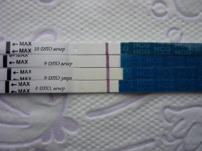 8 ДПО тест на беременность. 8-9 ДПО тест на беременность. Что такое ДПО на тесте на беременность. Тест на беременность на 8 день после овуляции. Фото после овуляция