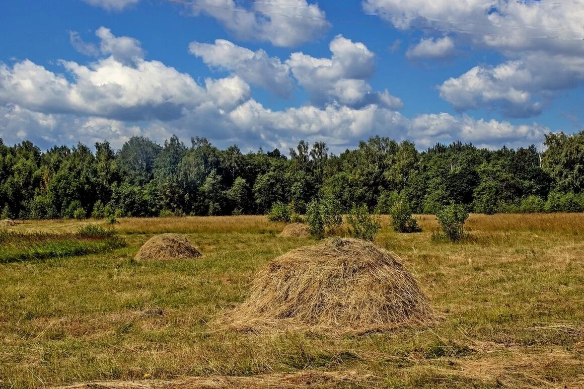 Свежескошенное сено. Лето в деревне сенокос. Аксаково село стога поля. Деревня поле сенокос. Сенокос стога.