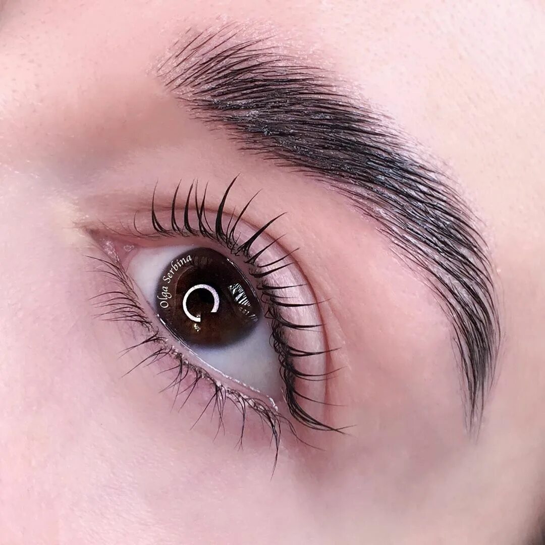 Ламинированные ресницы. Лами ботокс для ресниц. Ламинирование ресниц. Ламинирование ресниц до ипослн. Красивые ресницы натуральные.