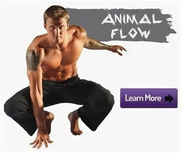 Фитча это. Animal Flow тренировка. Animal Flow упражнения. Майк Фитч animal Flow. Тренировка Энимал флоу.