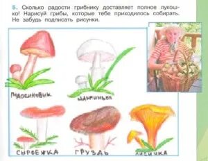 Окружающий 1 класс страница 15