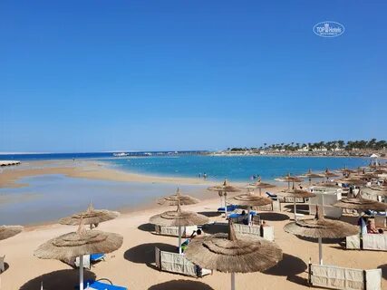 Dana beach 5 отзывы