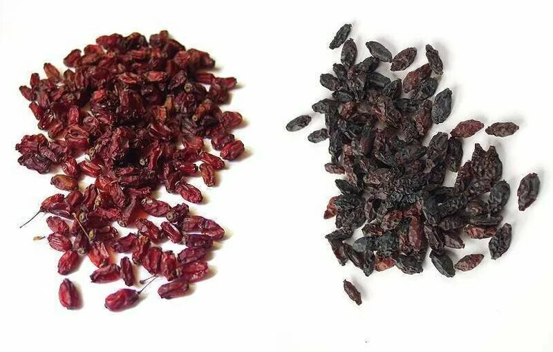 Барбарис сушеный. Когда класть барбарис. Барбарис для плова. Барбарис тунберга обыкновенный. Годжи лициум нью биг.