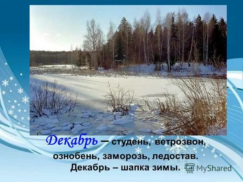 Девушка зима. Фотосессия на природе зимой. Девушка зимой. Зимняя фотосессия для 9 класса. Месяц года январь.