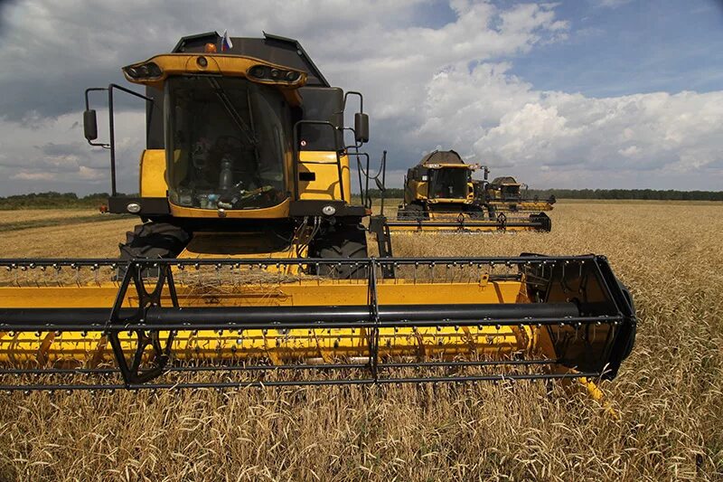 полевые работы. сельское хозяйство кировской области растениеводство. хозяйство волго вятского района. волго-вятский экономический район растениеводство. волго-вятский экономический район сельское хозяйство.