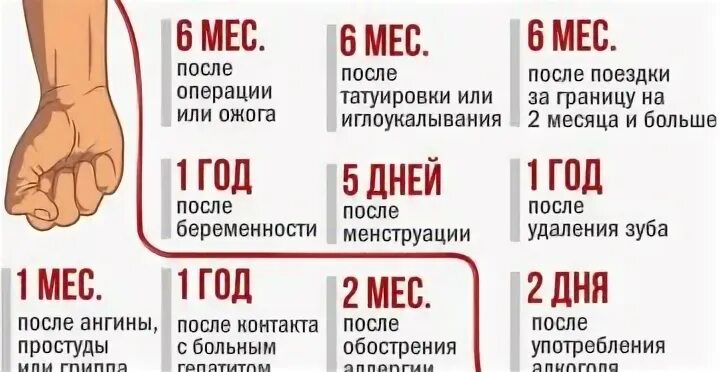 Через сколько часов можно сдать. Можно ли сдавать кровь. сколько можно сдавать кровь. можно ли сдавать кровь во время месячных для донорства. после сдачи крови запрещается.