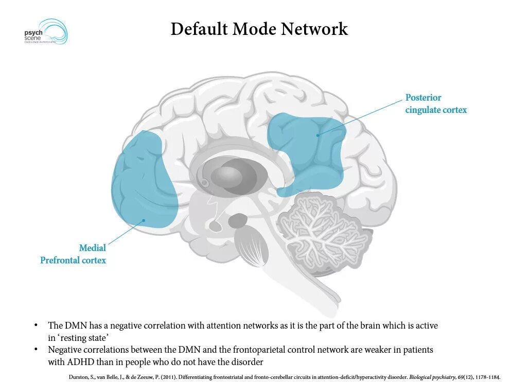 Default internet. Default mode network. dmn default mode network. dmn мозг. дефолт система головного мозга.