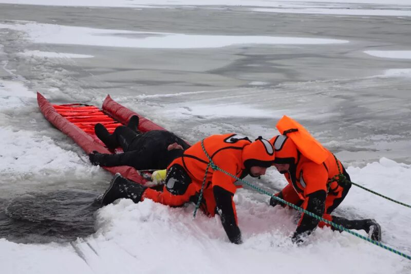 Служба спасения животных. Мчс россии спасение детей на льду. Мчс россии спасение животных. Человек в экстремальной ситуации. Пожарный спасает.