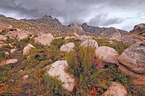 Каменистой тропе