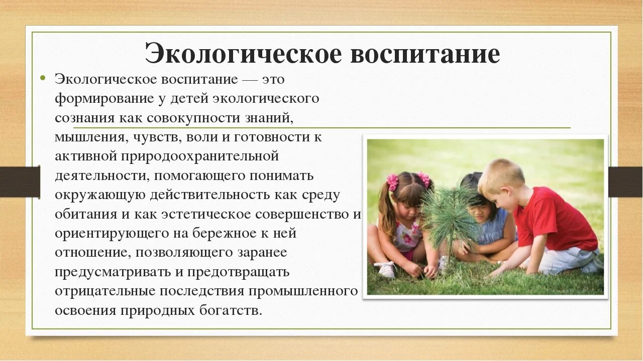 Экологическое воспитание. «Экологическое воспитани это. Экологическое воспитание это в педагогике. Экологическое воспитание в семье. Как воспитать чувство ответственности