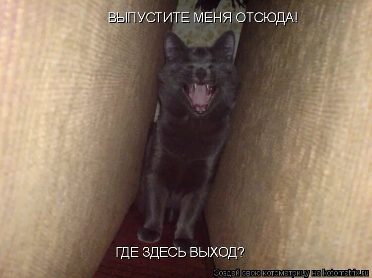 Извините я ошибся планетой где здесь выход. Метро 2033 мемы. Ура наконец то отпуск. Мемы про выход. Где тут выход.