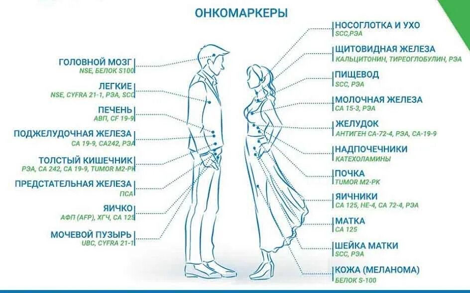 Картинки ОНКОМАРКЕР РАСШИФРОВКА ТАБЛИЦА